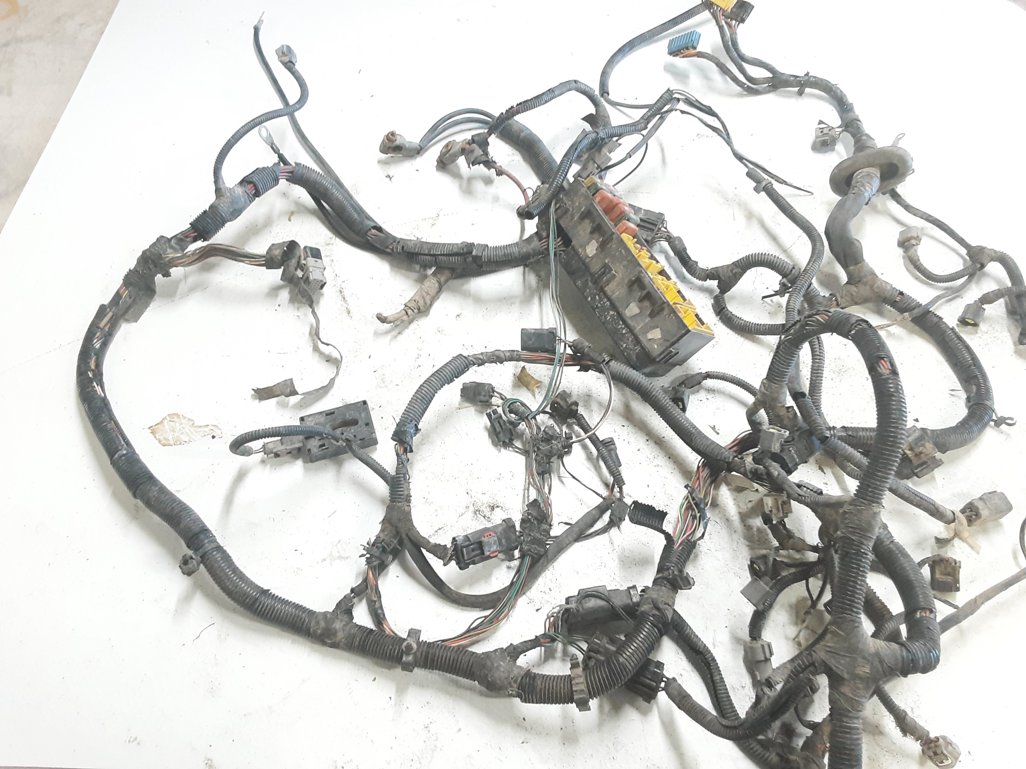 Engine Wiring Harness 4.0L 6 Cylinder 1998 TJ 56041446AA B2
