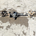 Wrangler TJ LJ 3.73 Front Axle Assembly Dana 30 1997-2006