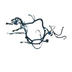2008 JK 3.8L HeadLight Harness 
