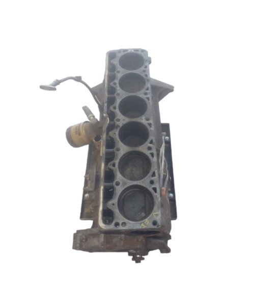 Wrangler YJ XJ ZJ MJ 242 4.0 I-6 Engine Core Builder Block 1991-1995